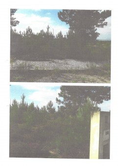DocScan (4)81